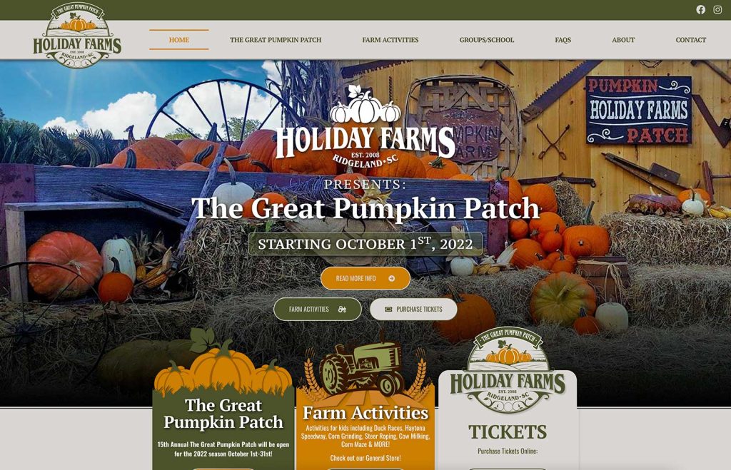 website-design-savannah-10